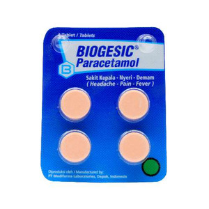 Biogesic 500mg tab str 4 s 1