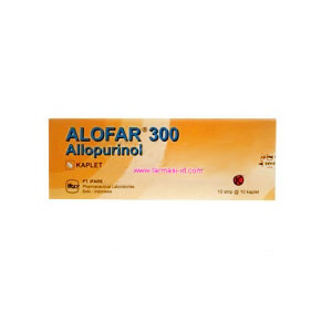 Alofar 300mg tab 100s 1