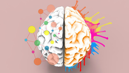 Bagian-Bagian Otak Besar beserta Fungsinya | HonestDocs