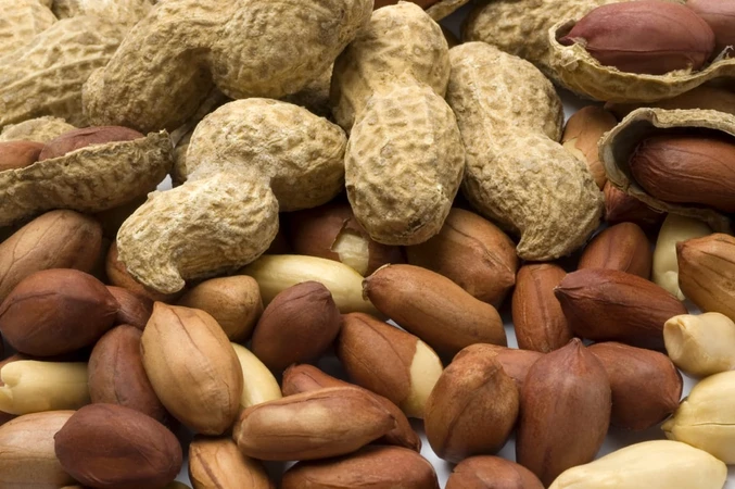Alergi Kacang (Peanut Allergy)