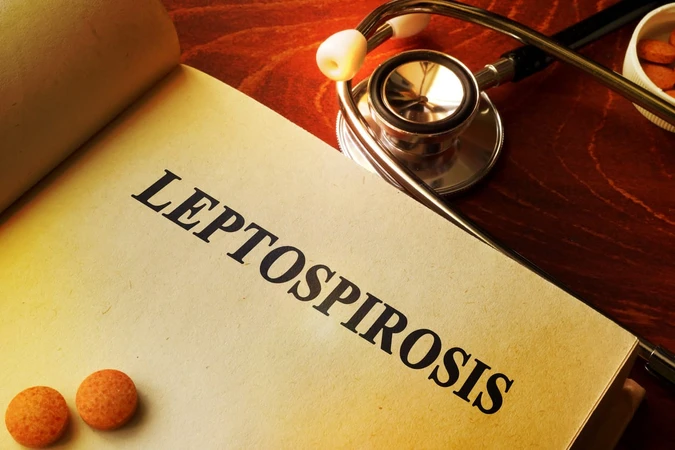 Leptospirosis