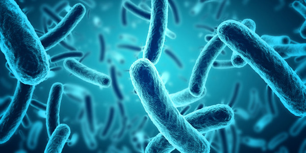 Bakteri yang Bisa Menyebabkan Kematian Ini Hidup Lebih Lama dari Perkiraan