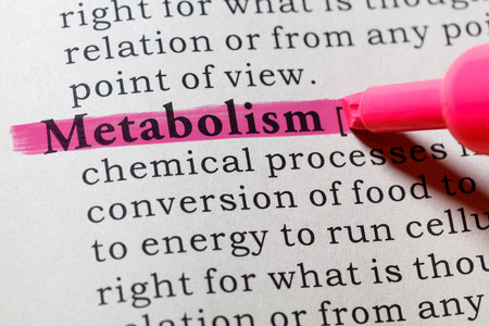 Cara Mempercepat Metabolisme Tubuh
