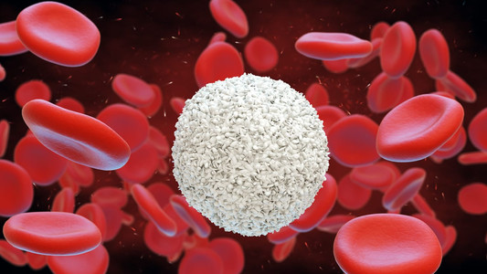 Fungsi Sel Darah Putih (Leukosit) untuk Setiap Jenisnya | HonestDocs
