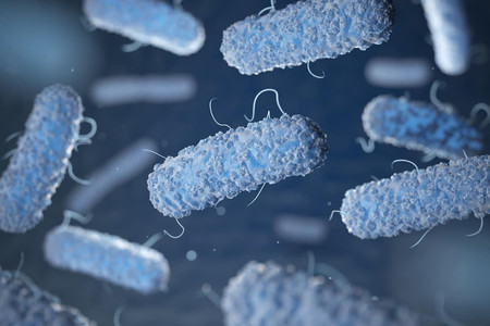 16 Penyakit Berbahaya Yang Disebabkan Oleh Bakteri