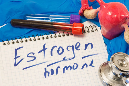 Mari Mengenal Lebih Dekat Tentang Apa Itu Estrogen 