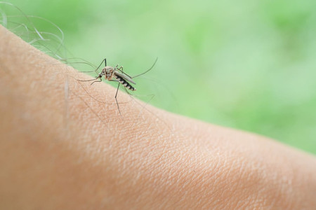 Cara menghilangkan bekas gigitan nyamuk yang sudah menghitam