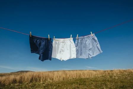 Pemakaian Celana Dalam Boxer Bantu Sperma Tetap Sehat