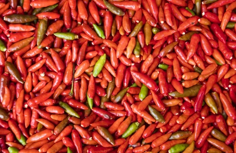 30 Obat Herbal Paru-paru Basah, 100% Alami dan Berkhasiat