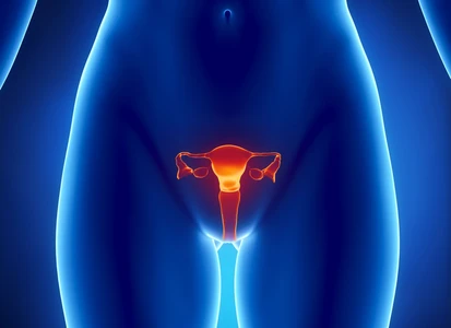 Fakta Unik Tentang Organ Reproduksi Wanita