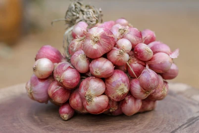Manfaat Bawang Dayak, Cara Penggunaan, dan Efek Samping