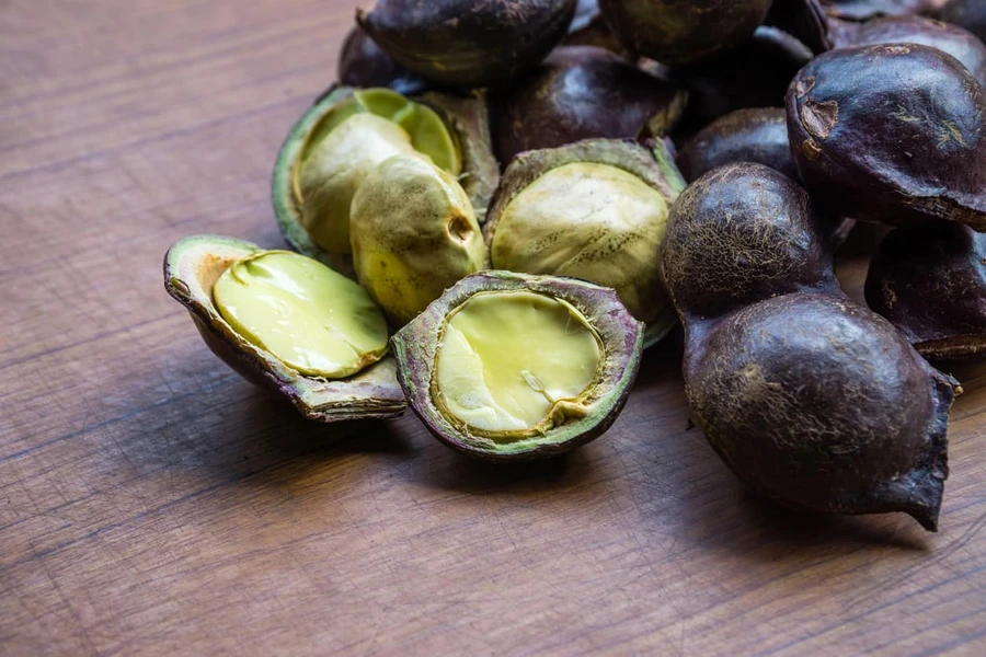 Jengkol, Buah Bau yang Kaya Manfaat