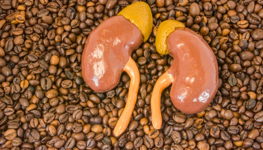 Makanan yang Berbahaya bagi Ginjal