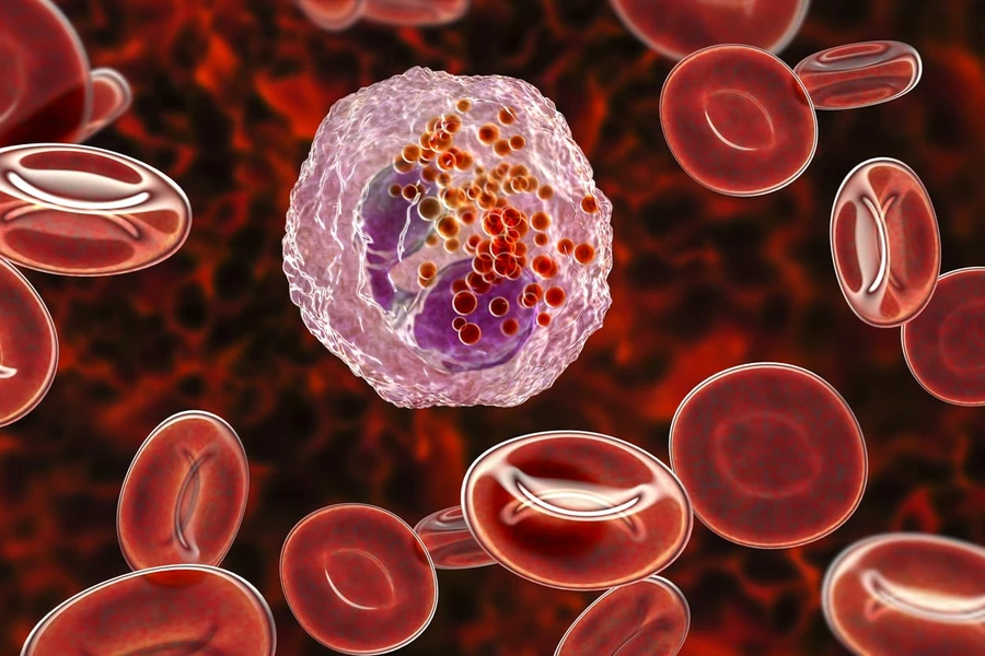 Eosinofil: Struktur, Fungsi, Nilai Normal
