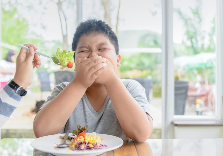 Suplemen Vitamin Untuk Anak Susah Makan