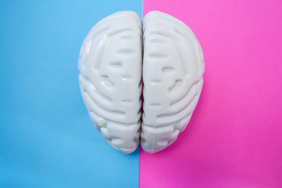 Fungsi Otak Besar (Cerebrum) Berdasarkan Bagian-Bagiannya