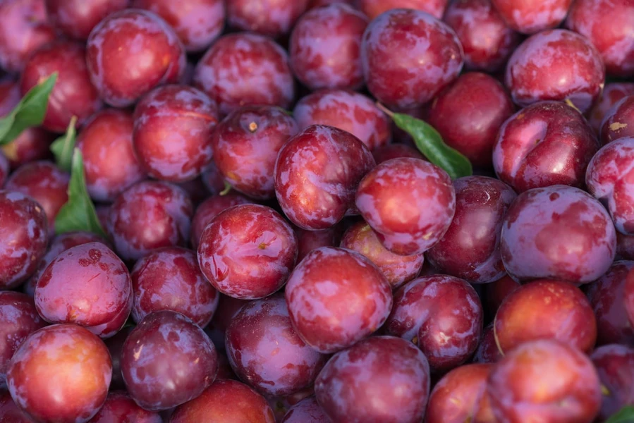 Ragam Manfaat Buah Plum Merah Bagi Kesehatan