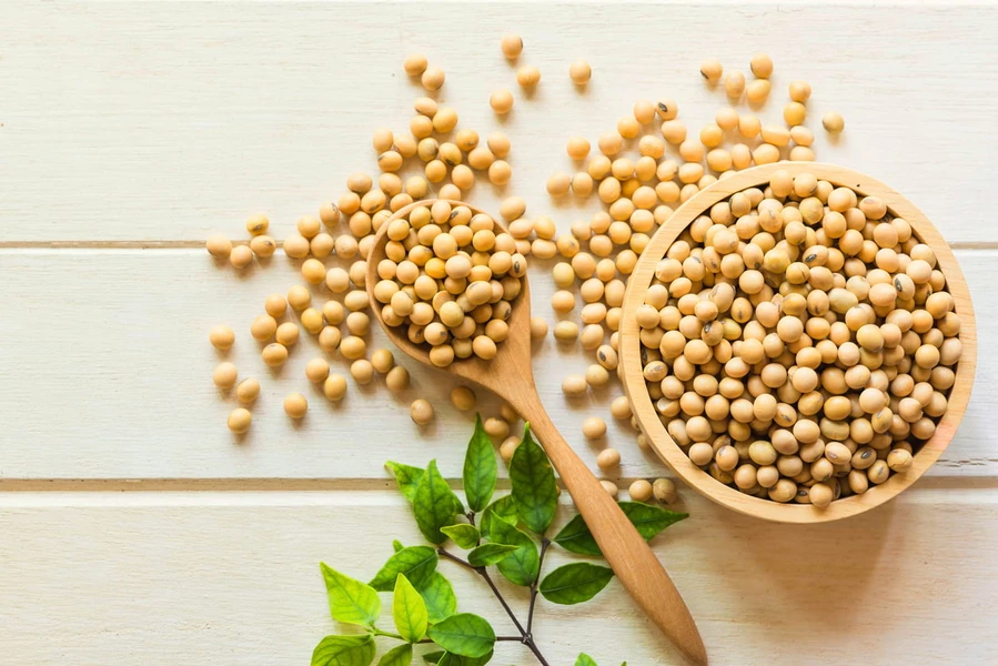 Manfaat Kacang Kedelai Sebagai Obat Kanker Payudara, Memang Ampuh?