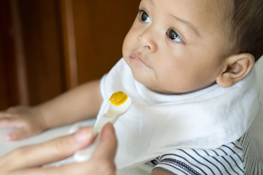 Kapan Bayi Bisa Makan Daging?