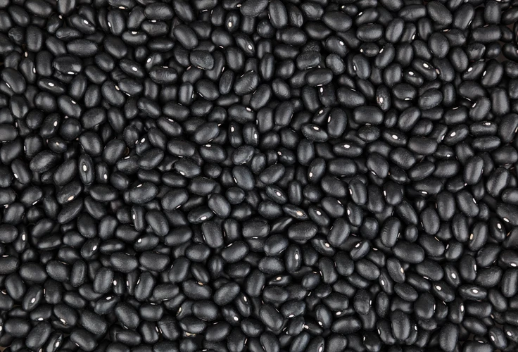 4 Manfaat Kacang Hitam yang Sebaiknya Anda Tahu