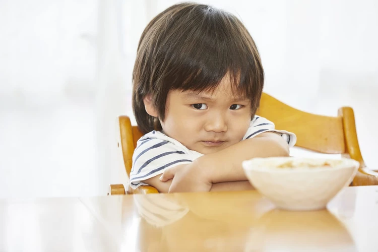 Cara Mengatasi Anak Susah Makan (Picky Eaters)