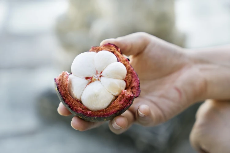Kandungan dan Manfaat Buah Manggis Yang Terbukti Ilmiah