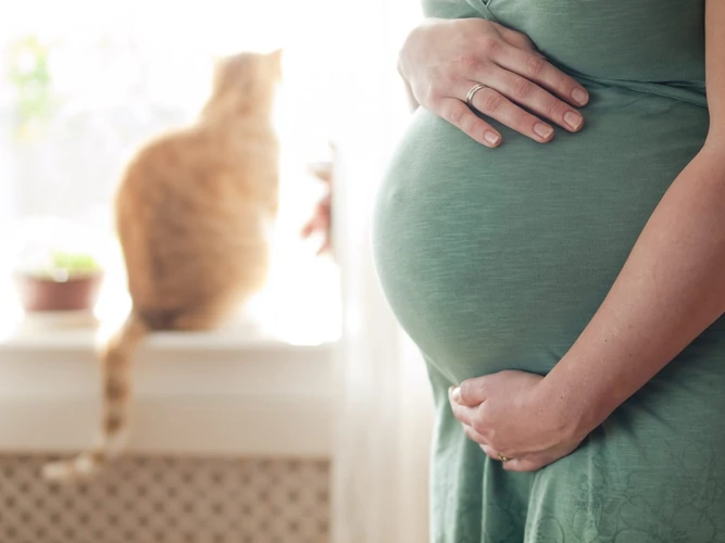 Mitos dan Fakta Seputar Kehamilan Yang Harus Bunda Tahu