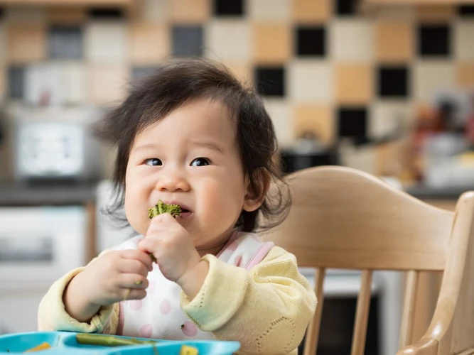 Gizi Dan Nutrisi Yang Diperlukan Untuk Pertumbuhan Bayi 