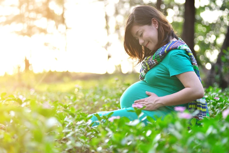 Kamus Kehamilan: Proses, Tanda,  Pantangan,  Nutrisi,  Tips Hamil