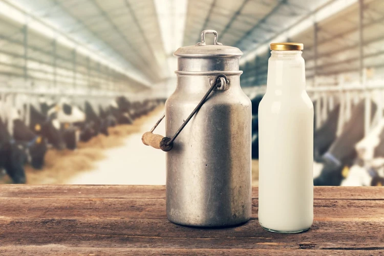 Susu Organik dan Beragam Manfaatnya
