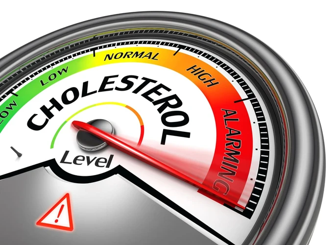 Tingkat Kolesterol yang Direkomendasikan Berdasarkan Usia