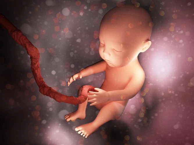 Mengapa Tali Pusar Pada Bayi Baru Lahir Dapat Berdarah?
