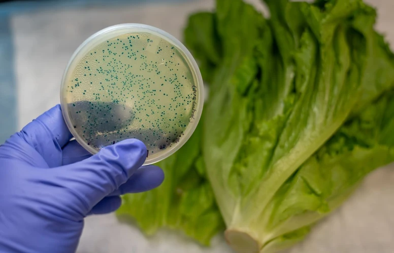 Mengenal 5 Parasit dan Bakteri Kotor Yang Tersembunyi Dalam Makanan Anda