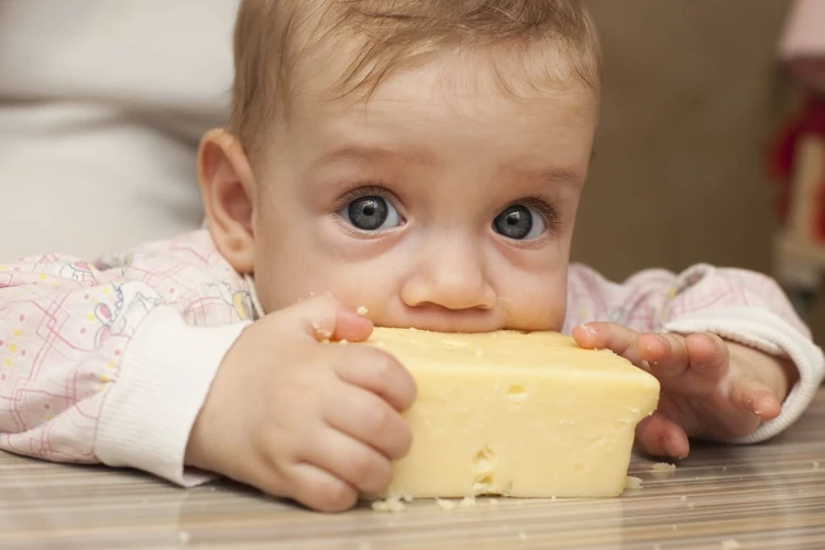 Kapan Bayi Boleh Makan Keju?