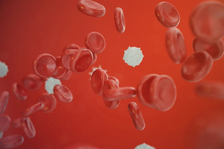 Penyebab dan Cara Pencegahan Sel Darah Putih Tidak Normal