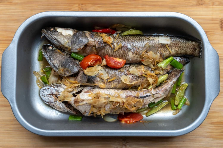 Mengandung Albumin, Apa Saja Manfaat Ikan Gabus bagi Kesehatan?