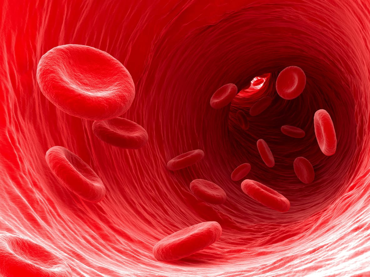 Jenis sel darah yang berfungsi dalam proses pembekuan darah adalah