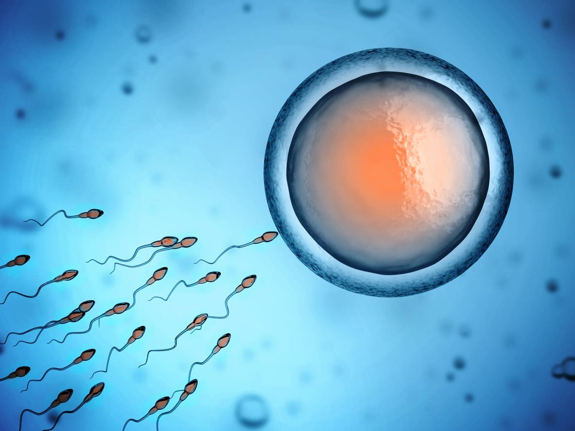 Bagian sperma yang mengandung informasi genetik adalah