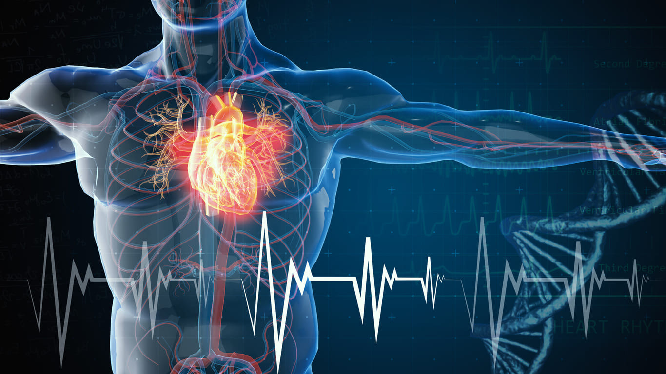 Apa saja penyebab penyakit jantung koroner yang berasal dari kebiasaan manusia
